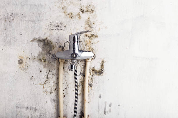 Mold Testing and Removal in Knik Fairview, AK