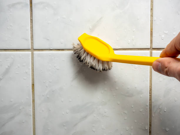 Best Home Mold Removal  in Knik Fairview, AK