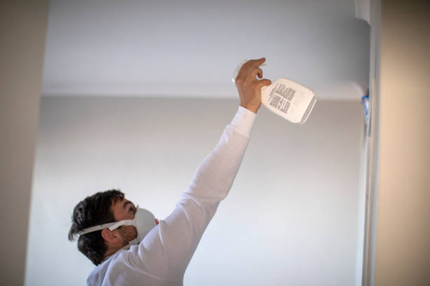 Attic Mold Removal in Knik Fairview, AK