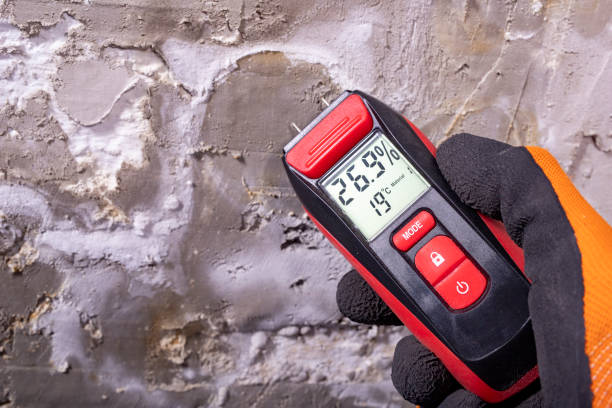 Best Black Mold Removal  in Knik Fairview, AK